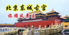 污污艹黄在线中国北京-东城古宫旅游风景区